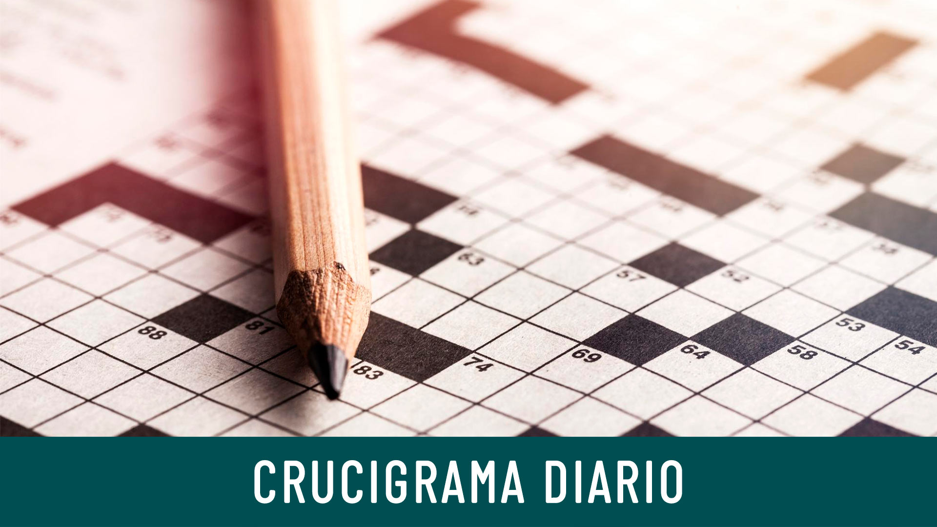 Crucigrama diario