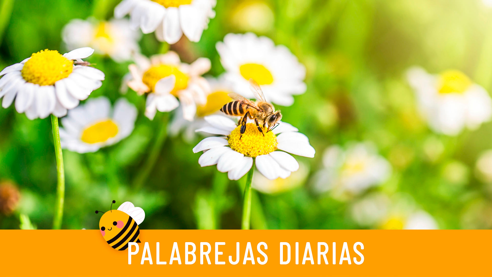 Palabrejas diarias