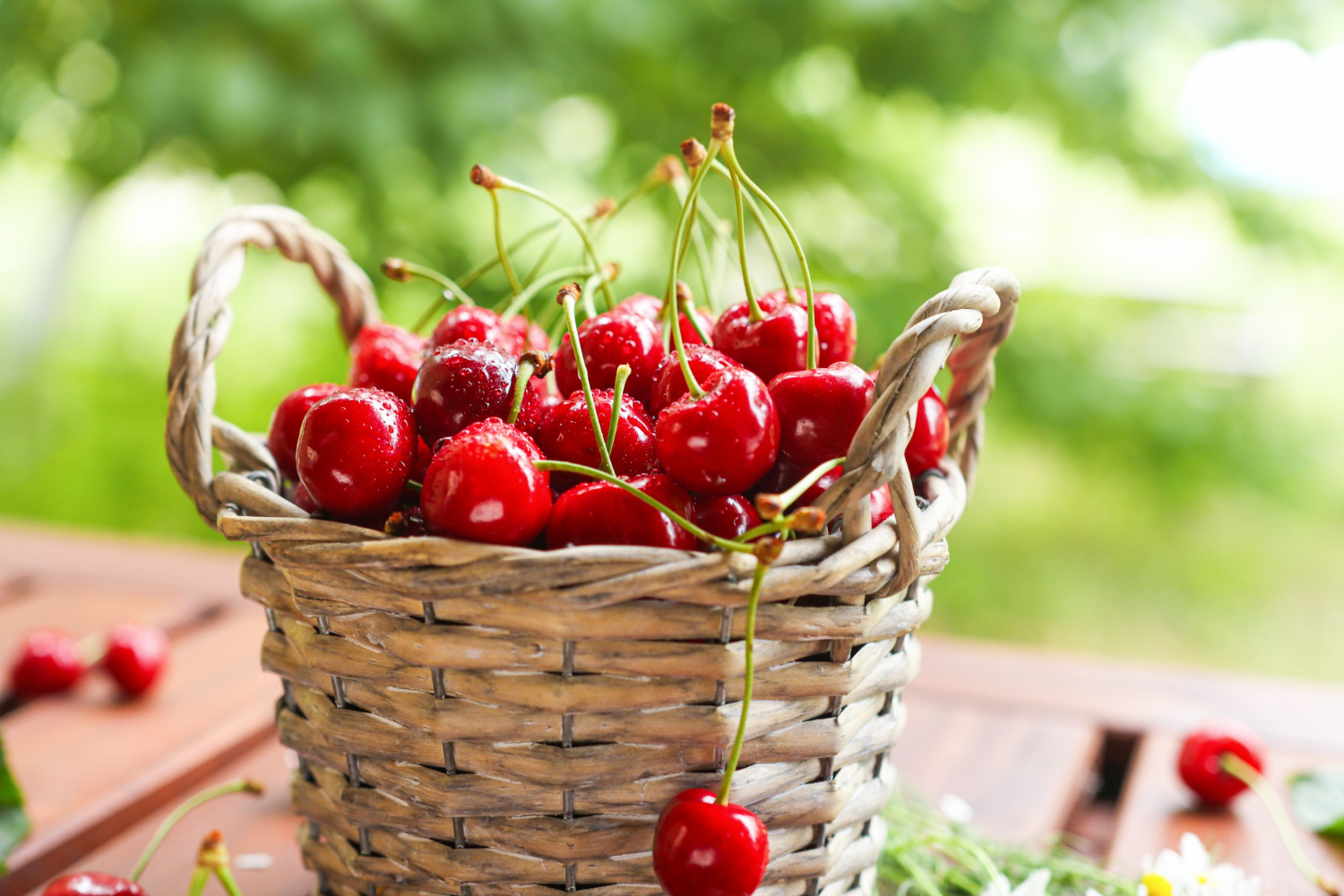 Puzzle Cesto de cerezas