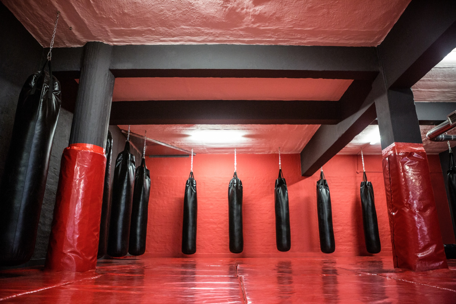 Puzzle Gimnasio