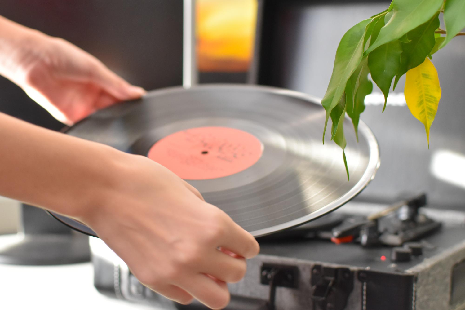 Puzzle Vinilo