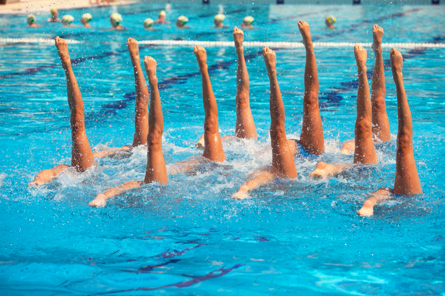 Puzzle Natación