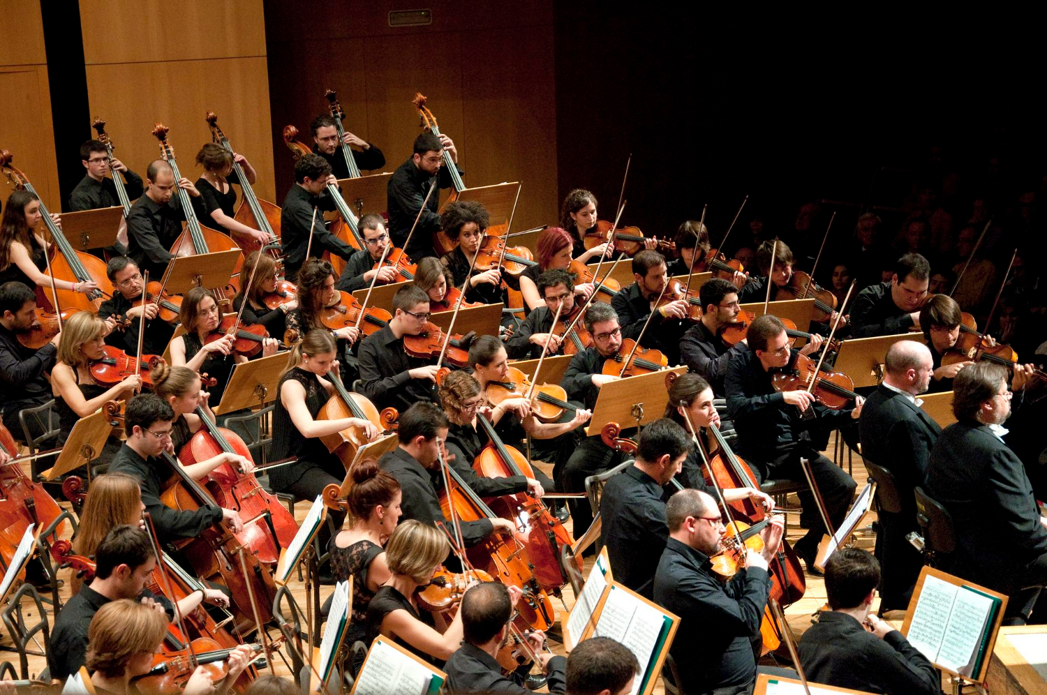 Puzzle Orquesta sinfónica
