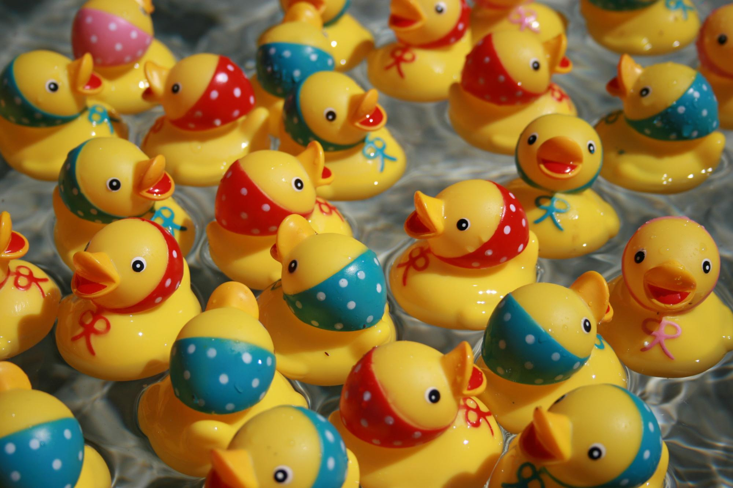 Puzzle Patitos de plástico