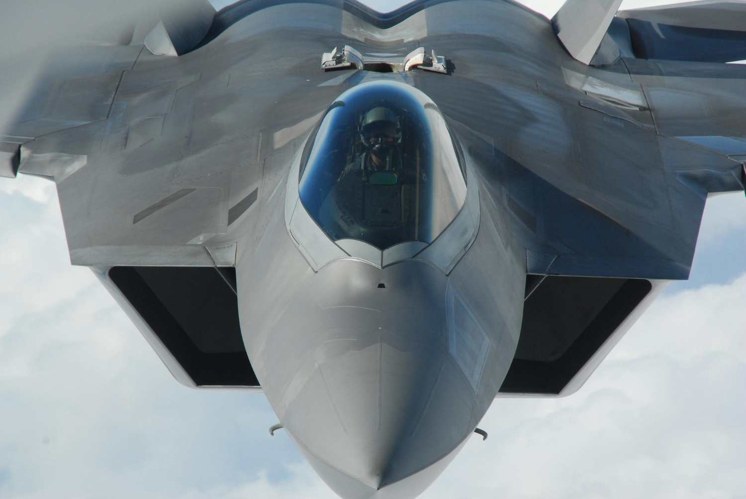 Puzzle Avión de combate F22