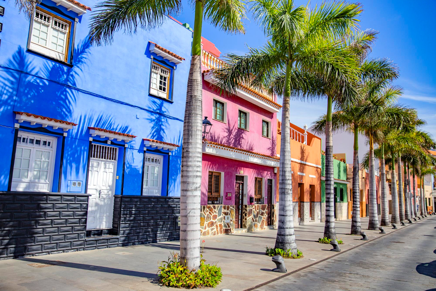 Puzzle Casas y palmeras