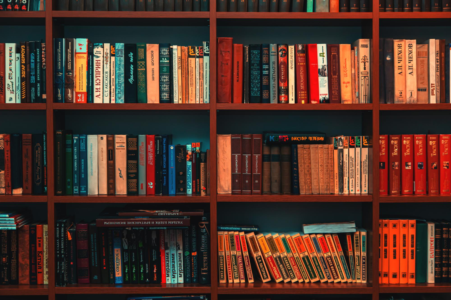 Puzzle Biblioteca
