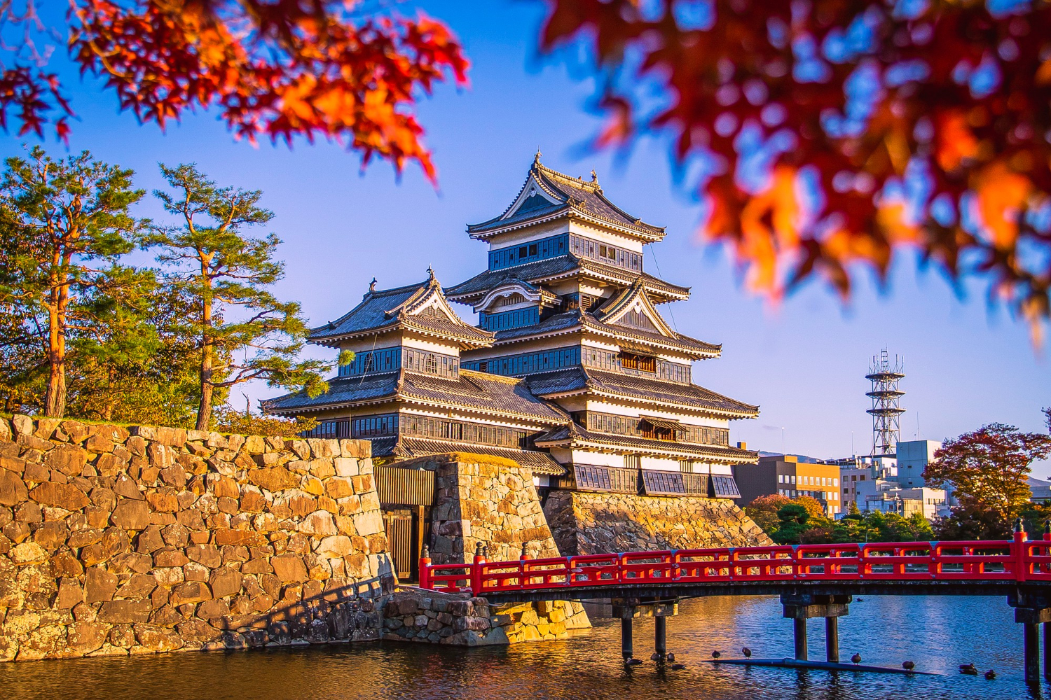 Puzzle Castillo de Matsumoto
