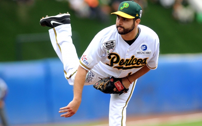 Puzzle Jugador de béisbol