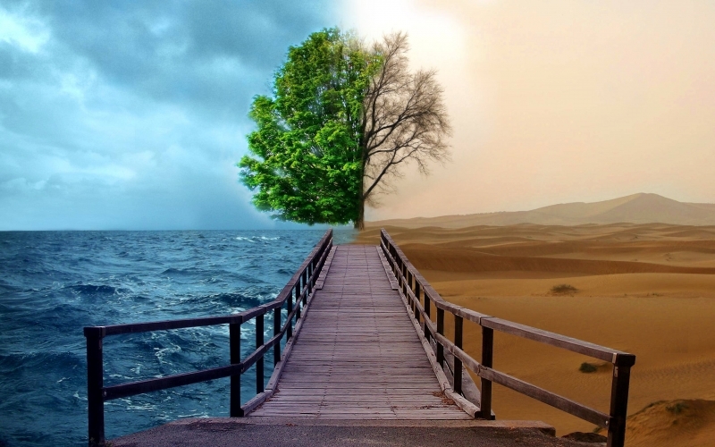 Puzzle Mar y desierto
