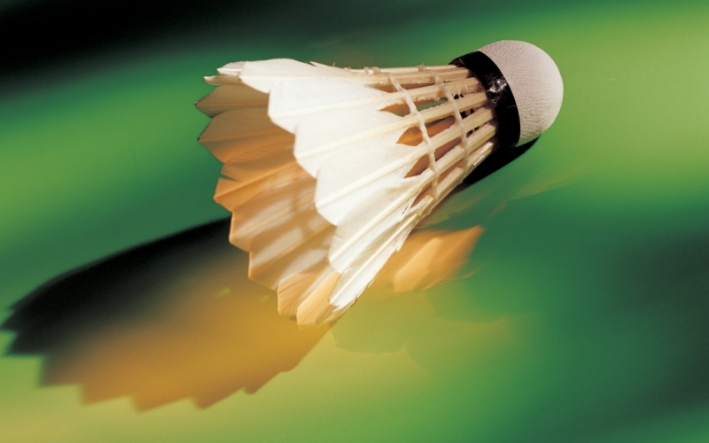 Puzzle Pelota de bádminton